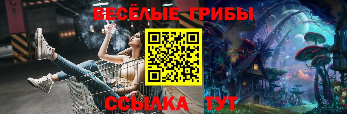 Галлюциногенные грибы GOLDEN TEACHER  Вход с VPN  продажа наркотиков  Еманжелинск  Галлюциногенные грибы Psilocybine cubensis 